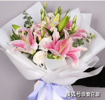 看病人送什么花,探病送花指南