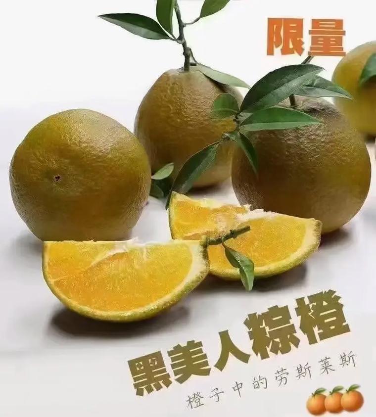 吃蒸脐橙的文案短句怎么写,卖脐橙的朋友圈文案