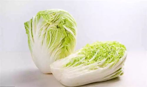 怎么生白菜花,从播种到收获的全程指南