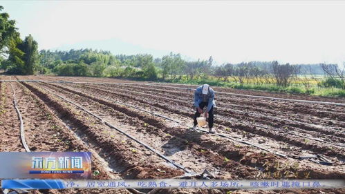 谬家桥镇毛坝种植户有哪些