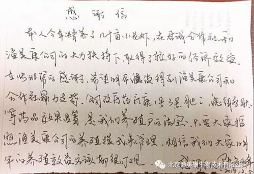 玉刚到手怎么养,焕发宝石般光彩的秘诀