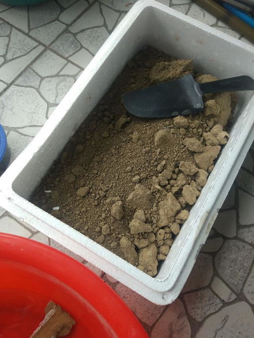 如何制作养殖土,打造高效养殖环境的关键步骤