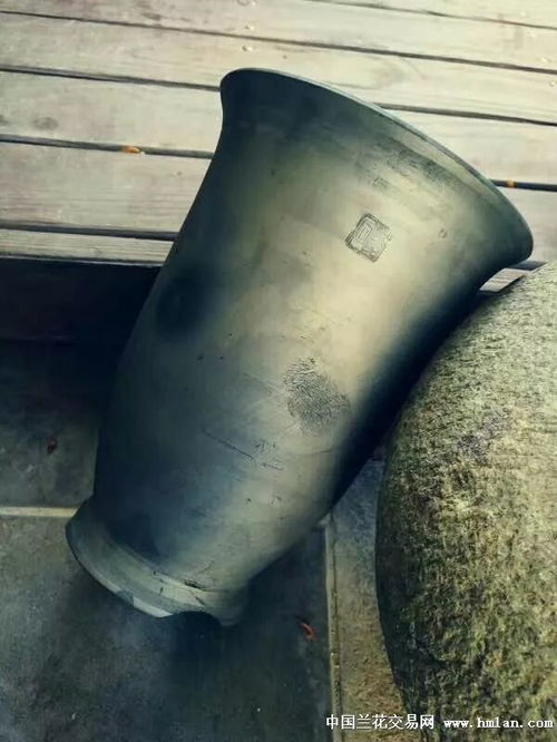 砂盆透气性如何,揭秘植物生长的“呼吸”奥秘