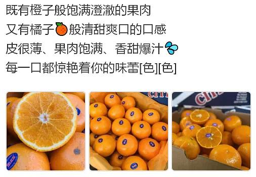 生病悖水果的文案句子搞笑