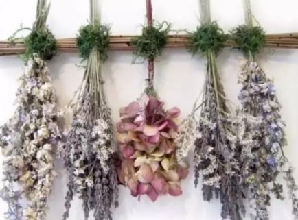 如何制作干花,干花制作全攻略