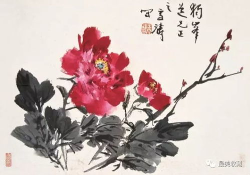 梅花和菊花的寓意是什么,梅花与菊花的寓意解读