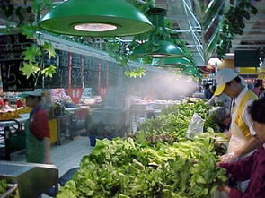 水果店一般怎么驱蚊虫,全方位驱蚊虫，守护健康与卫生