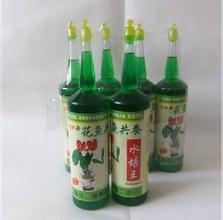 水培藤本植物有哪些,水培藤本植物的培育技巧与品种介绍