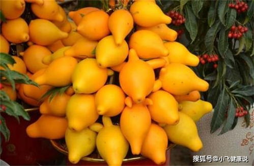 黄金果怎么办养,揭秘天然健康生活秘诀