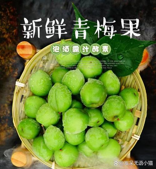 中国水果资讯官网首页下载,中国水果交易网官网登录