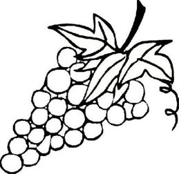 画水果怎么画,从简笔画到国画技法全解析