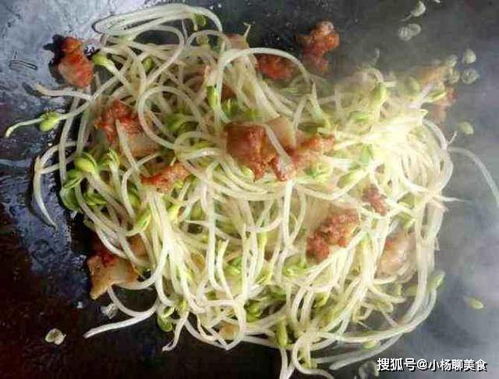 种豆芽准备什么,从选种到收获的全方位准备指南