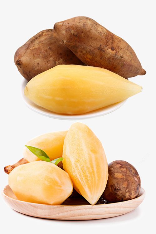 天山雪莲果怎么储藏,科学储藏指南