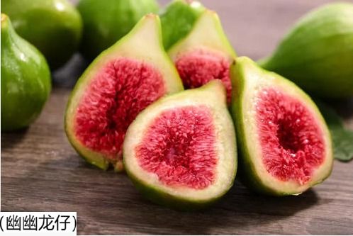 无花果没有花怎么传粉,无花之花如何繁衍生息