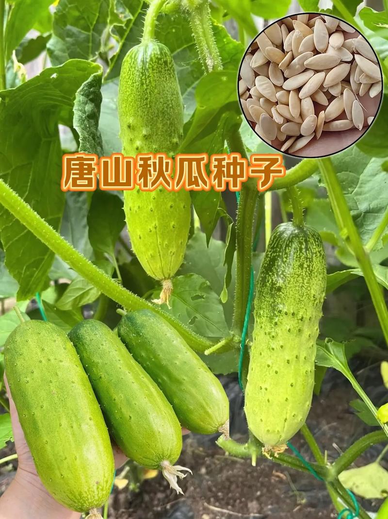 唐山水果协会官网首页