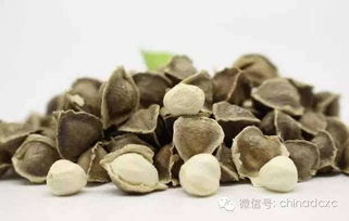 辣木籽是什么花,揭秘其神秘花源与神奇功效