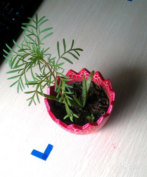怎么花草除害,花草除害的生态智慧与实践
