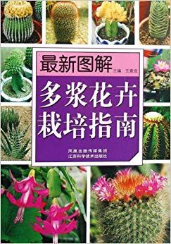 怎么种植花草教程图片大全,打好基础,让花儿茁壮成长