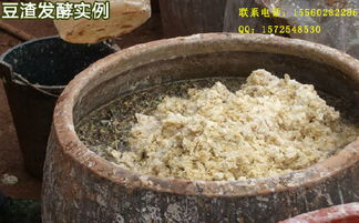 豆渣肥发酵 多久不臭,告别臭味,实现环保与肥效双赢