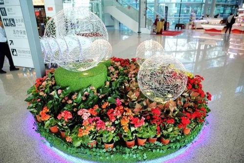 单位摆什么花,花艺点缀，打造温馨办公空间