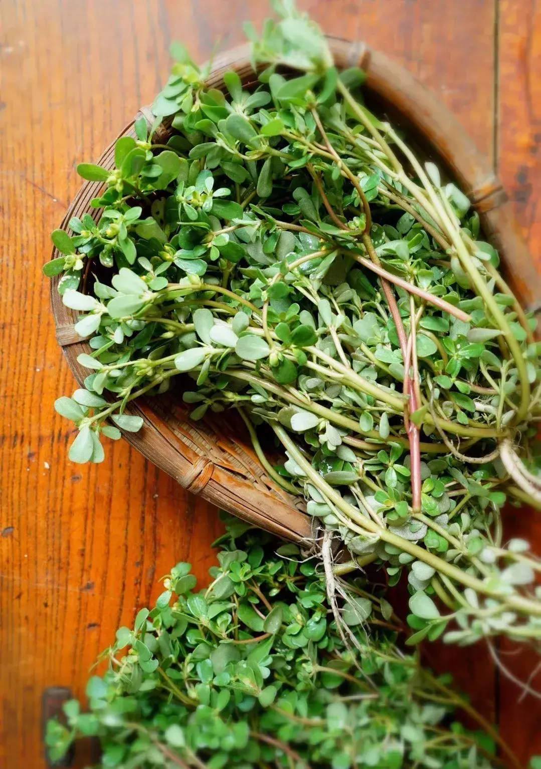 清火降火的蔬菜排名(5种蔬果“清热降火”)