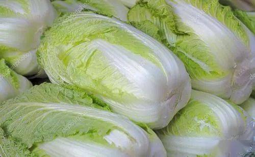 怎么生白菜花,从播种到收获的全程指南