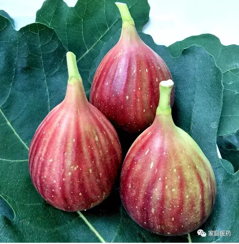 清火降火的蔬菜排名(5种蔬果“清热降火”)