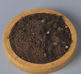 怎么判断花土,如何辨别优质花土的秘密