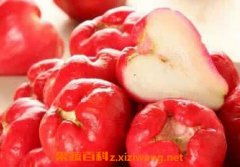 水果莲雾怎么吃,探索热带水果的多样美味