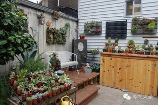 冬天哪些植物要搬进屋,哪些植物需搬进屋过冬